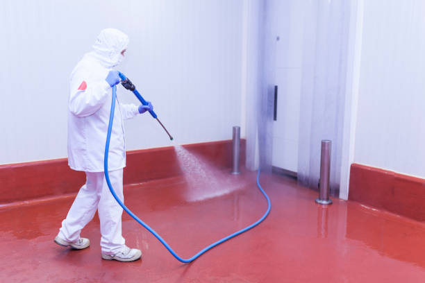 Reliable Bolindale, OH Pressure Washing Services Solutions